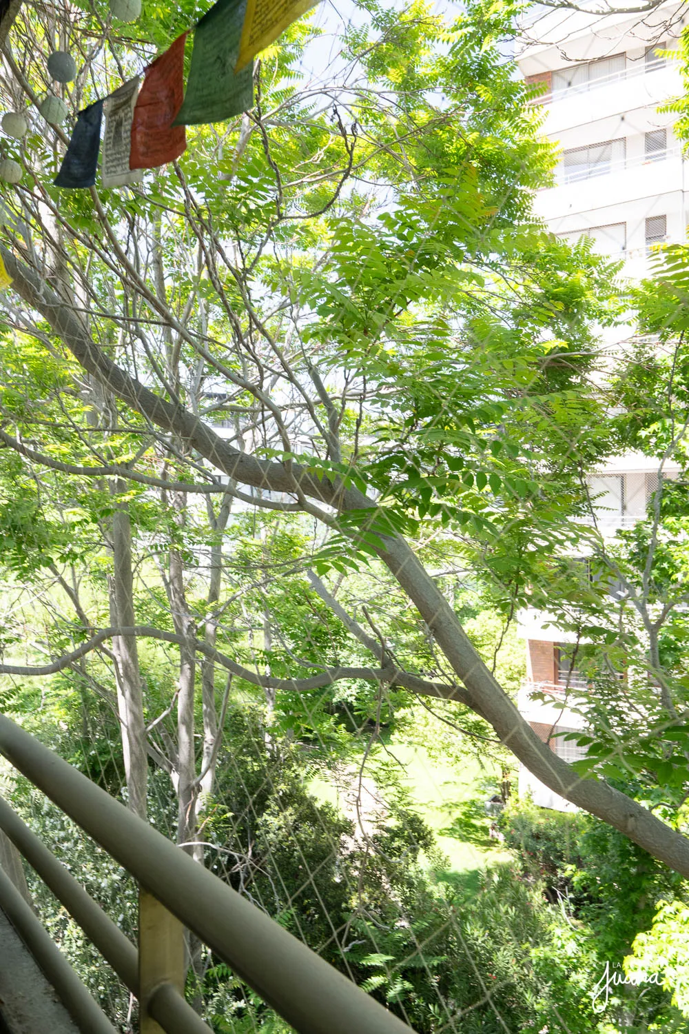 Piso_Suecia_II_image_22