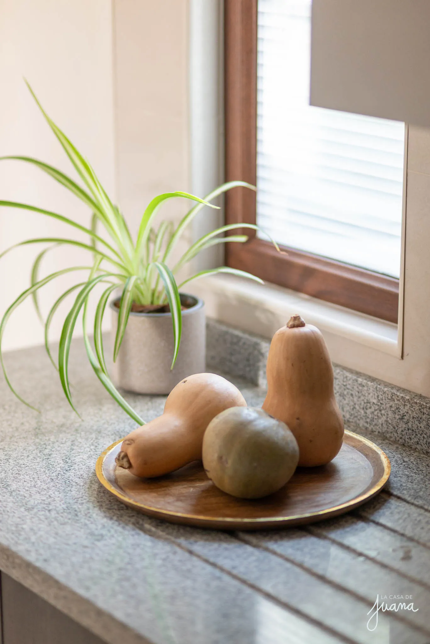 Casa_Álvaro_Casanova_I_image_33