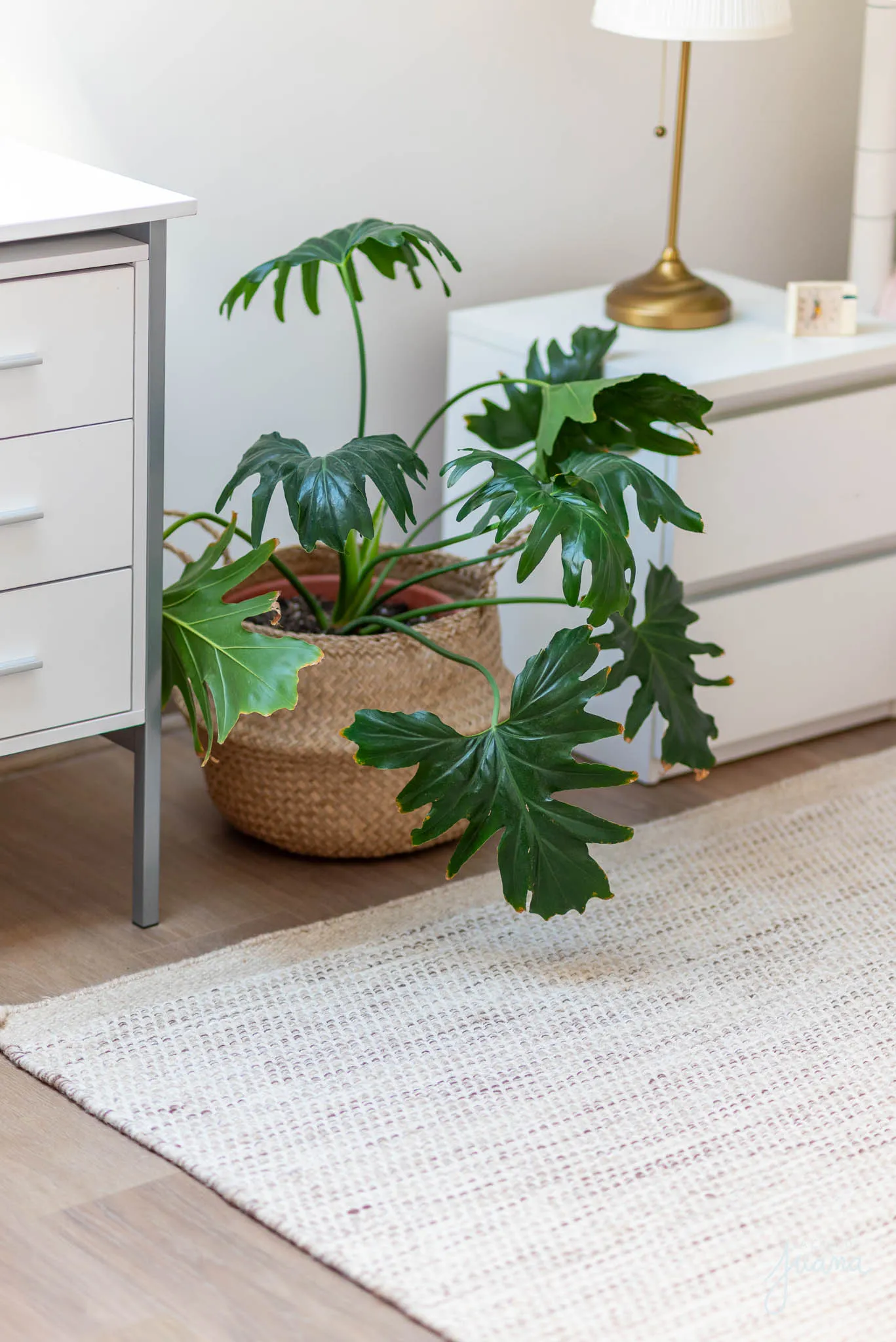 Casa_Álvaro_Casanova_I_image_45