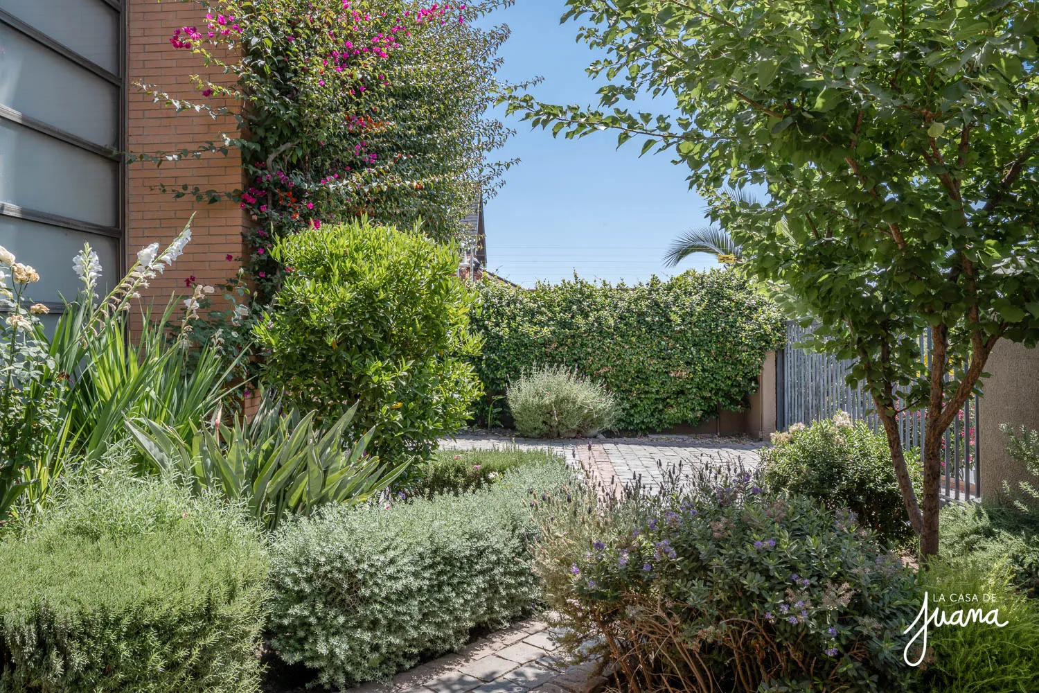 Casa_Foresta_Oriente_image_60