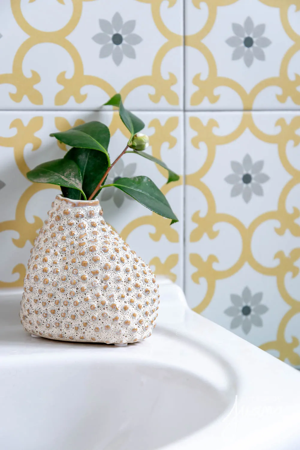 Casa_Hernando_de_Aguirre_image_30