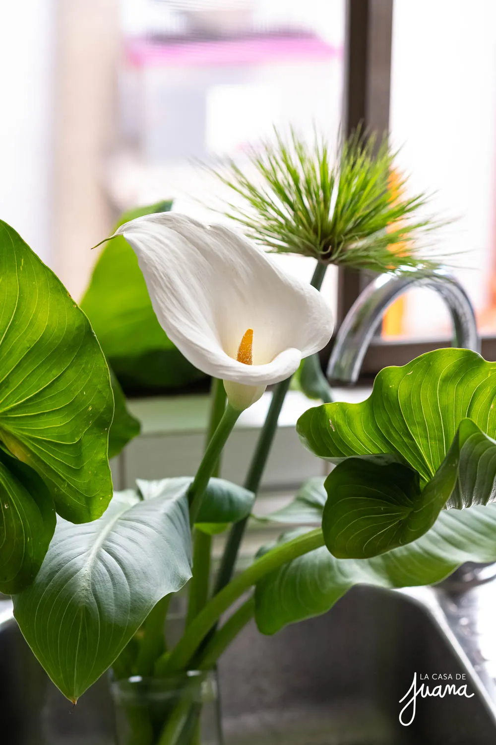 Casa_Los_Pudues_image_24