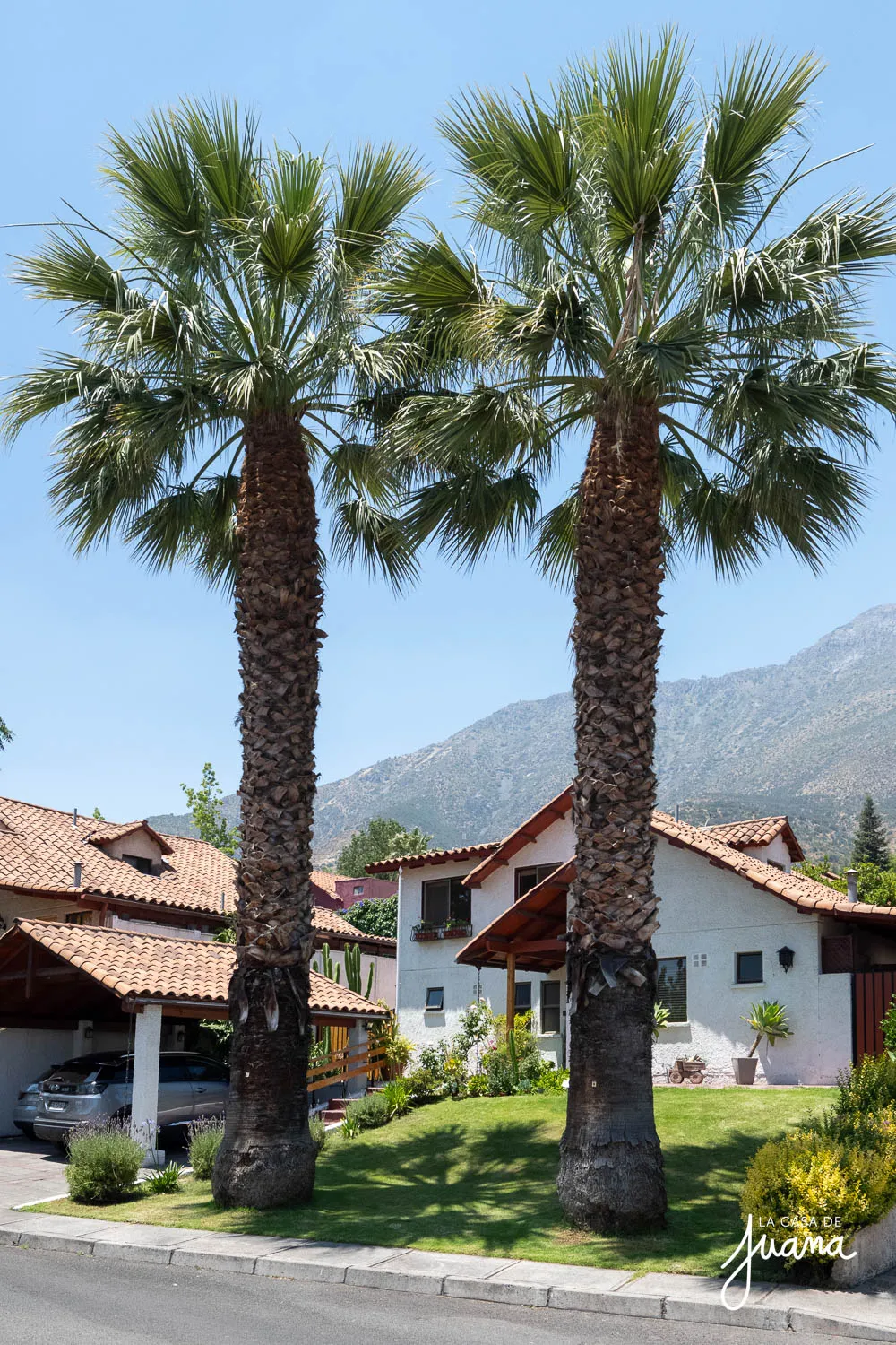 Casa_Los_Pudues_image_54