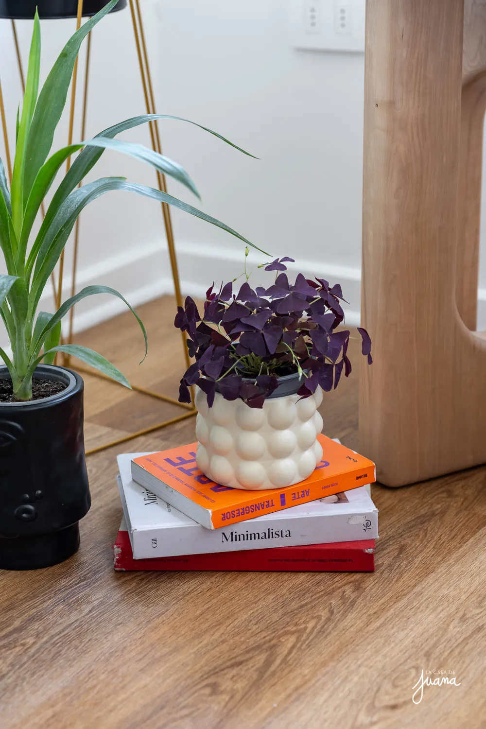 Dúplex_Latadía_I_image_48