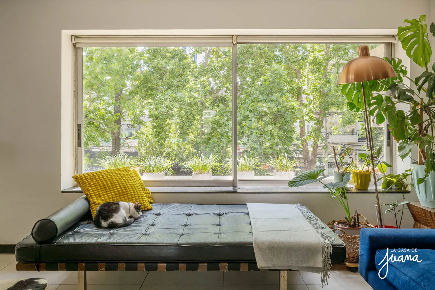 Piso_Hernando_de_Aguirre_I_image_6