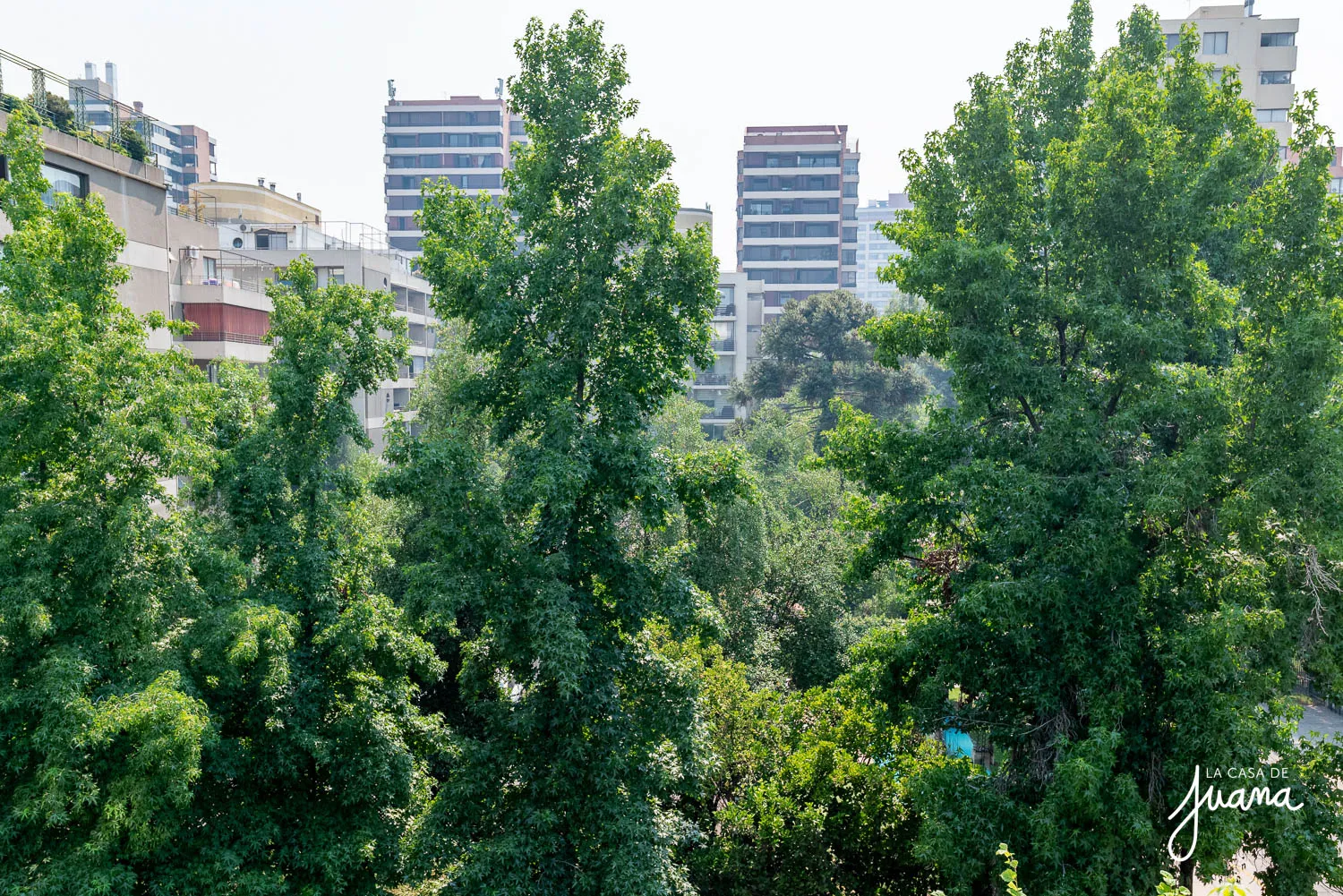 Piso_Pío_XI_image_16