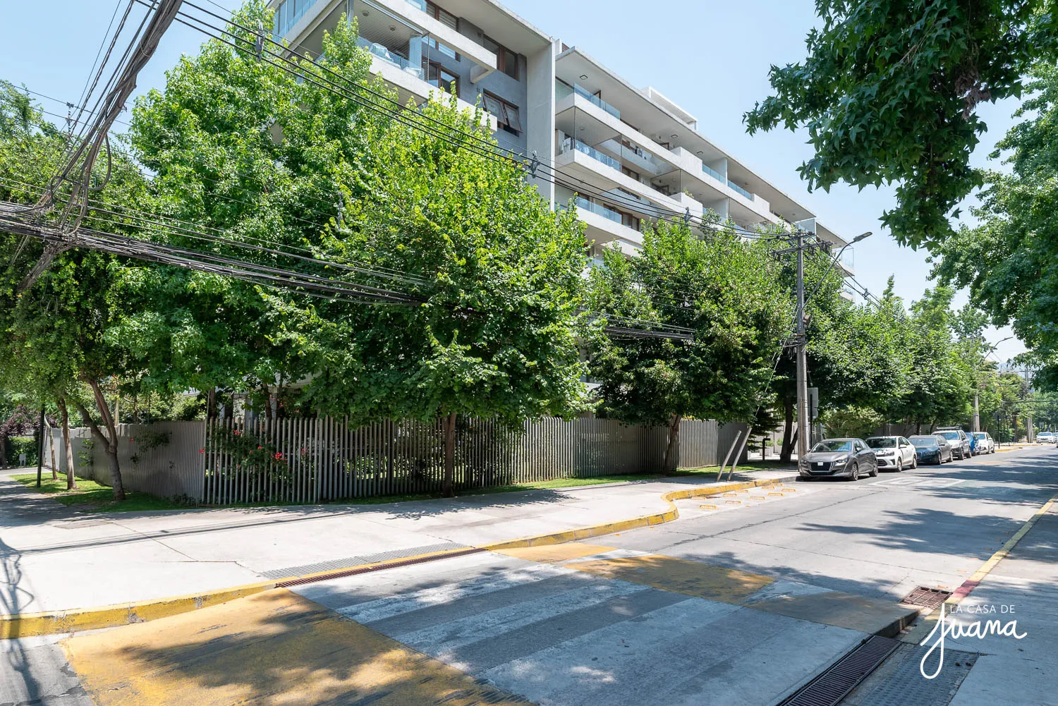 Piso_Pío_XI_image_39