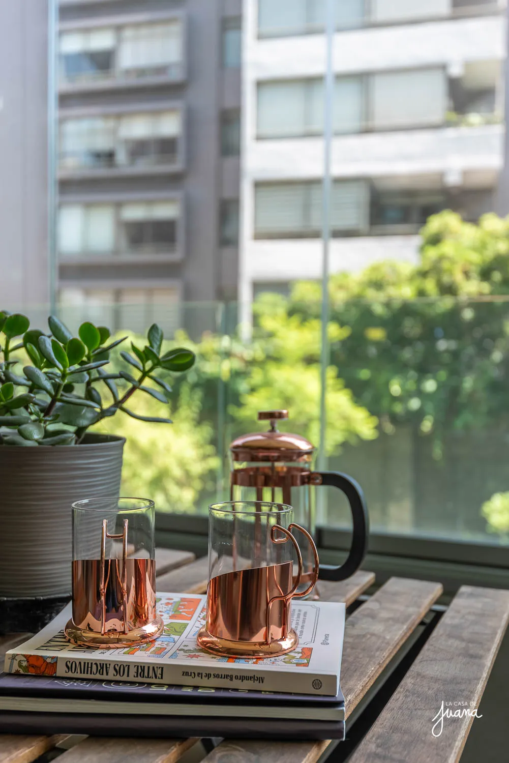 Piso_Ricardo_Lyon_image_20