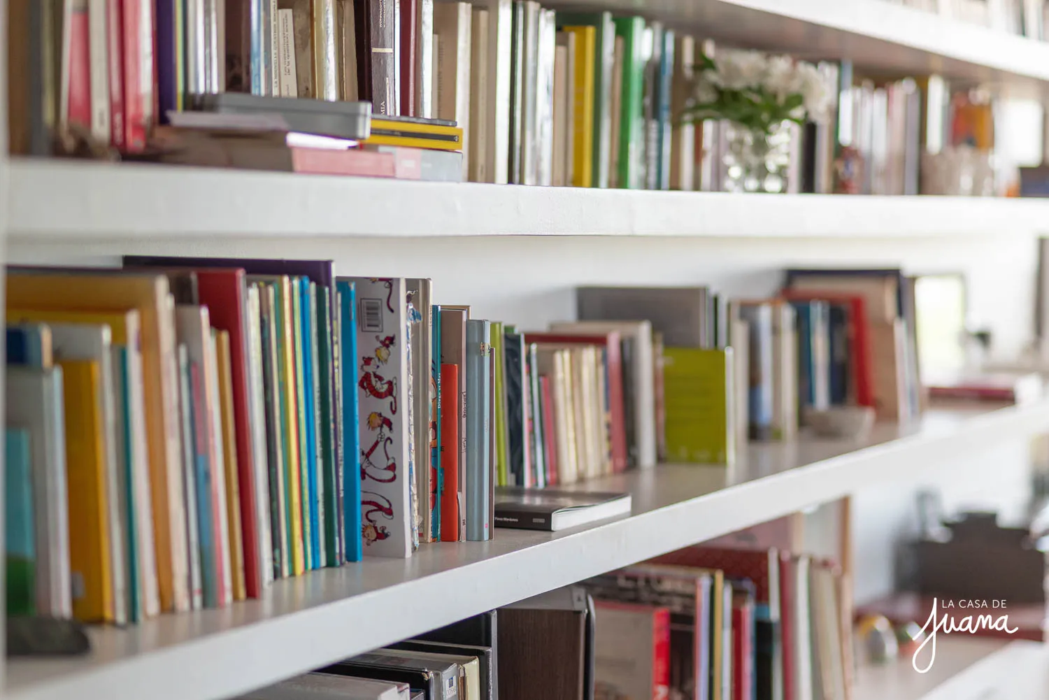 Piso_Versalles_image_5