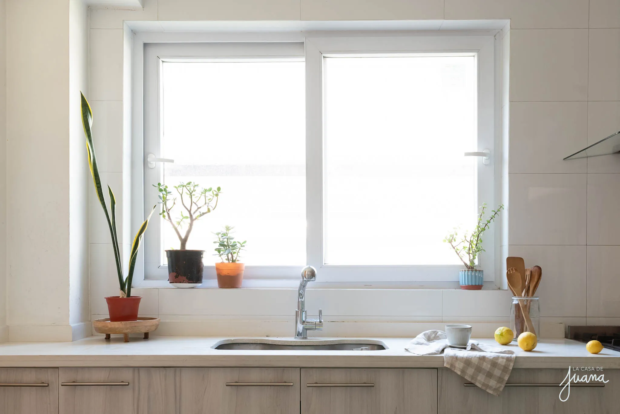 Casa_Eduardo_Donoso_image_20