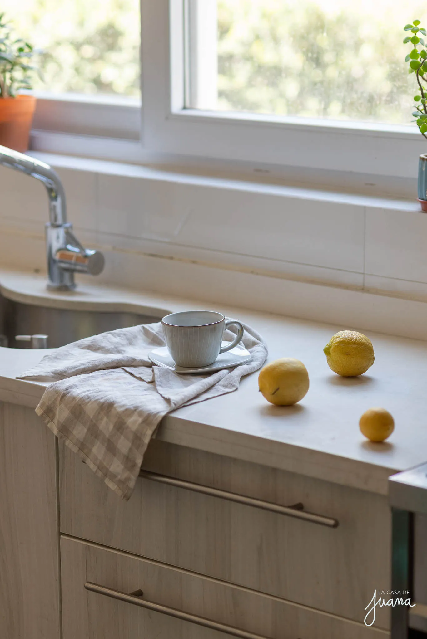 Casa_Eduardo_Donoso_image_21