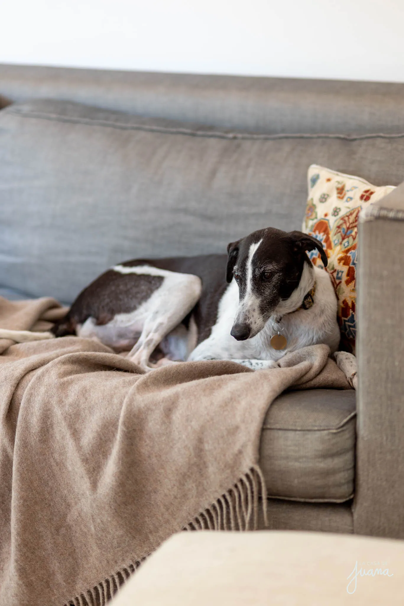 Casa_San_Alberto_image_11