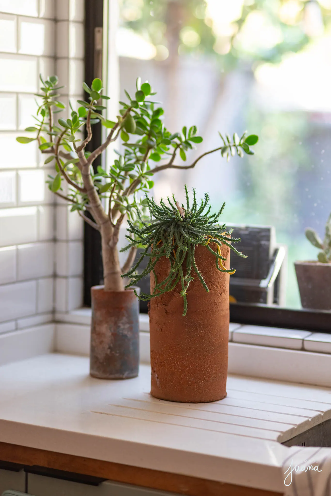 Casa_San_Alberto_image_25