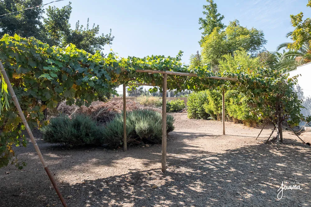 Casa_Sta_Teresita_I_image_12