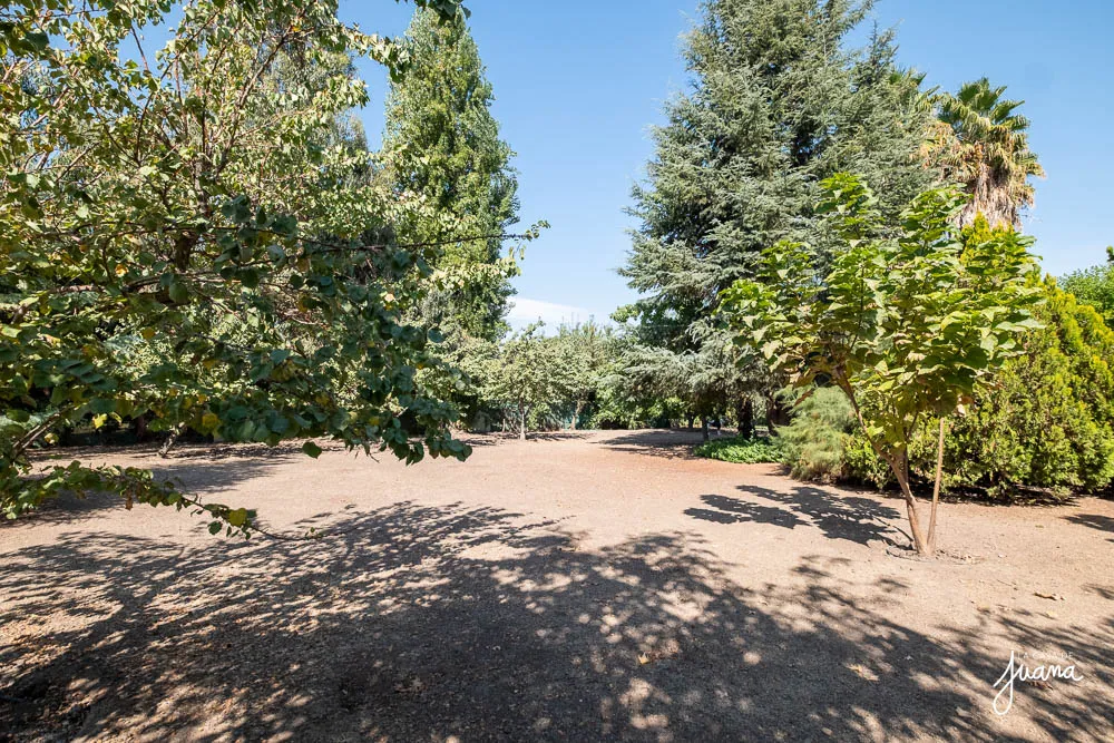 Casa_Sta_Teresita_I_image_13