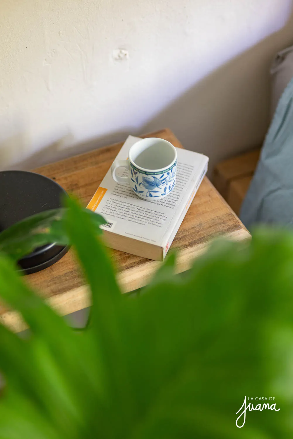 Casa_Walter_Scott_image_35