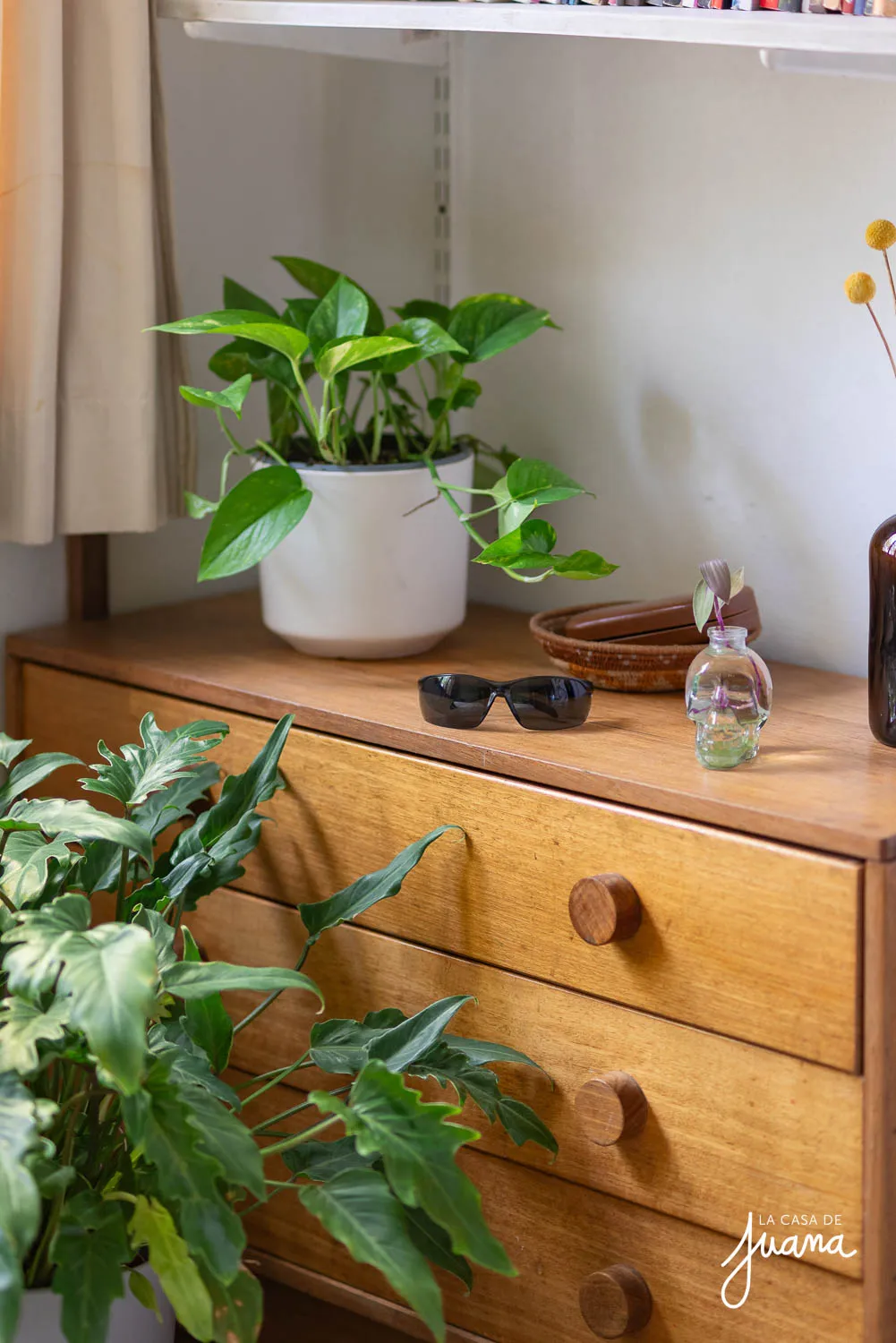 Casa_Walter_Scott_image_38