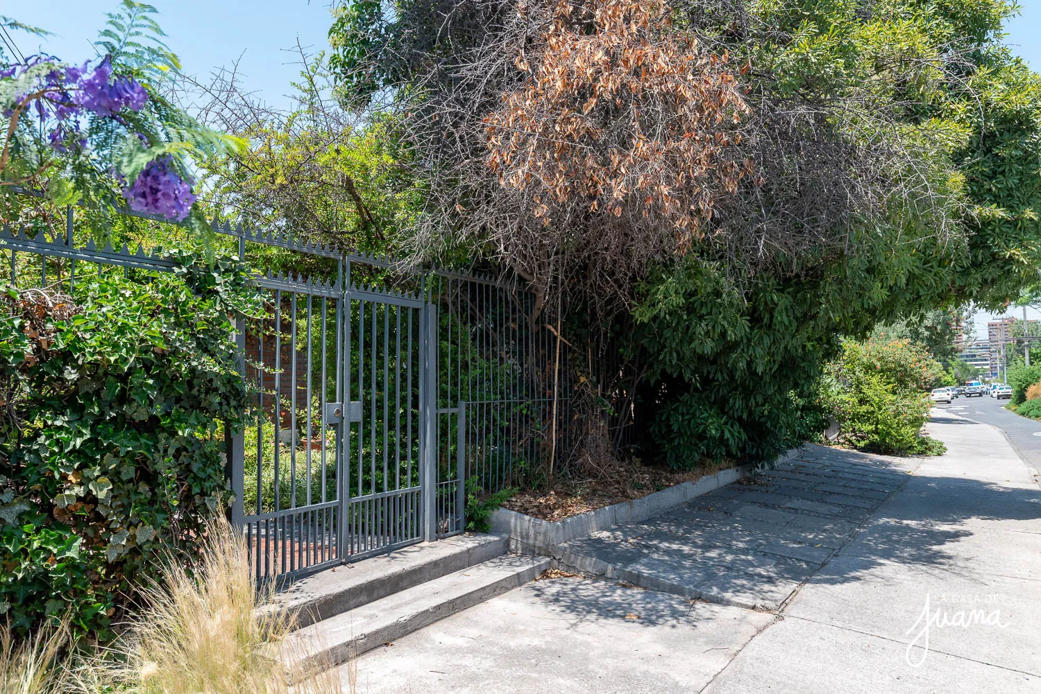 Casa_Walter_Scott_image_46