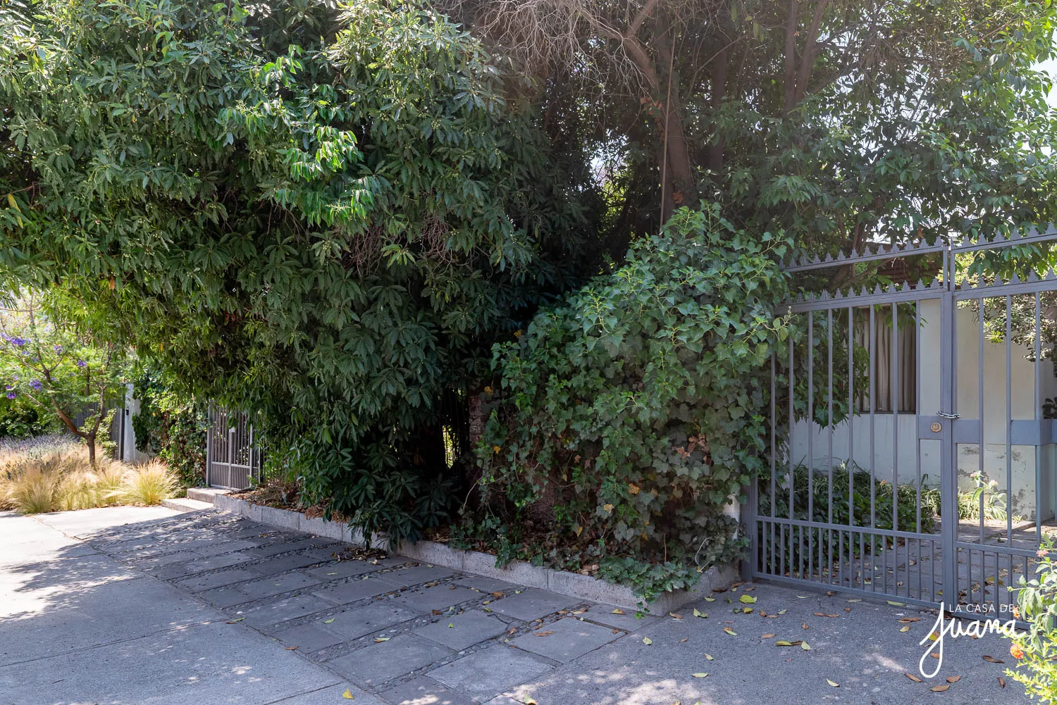 Casa_Walter_Scott_image_47