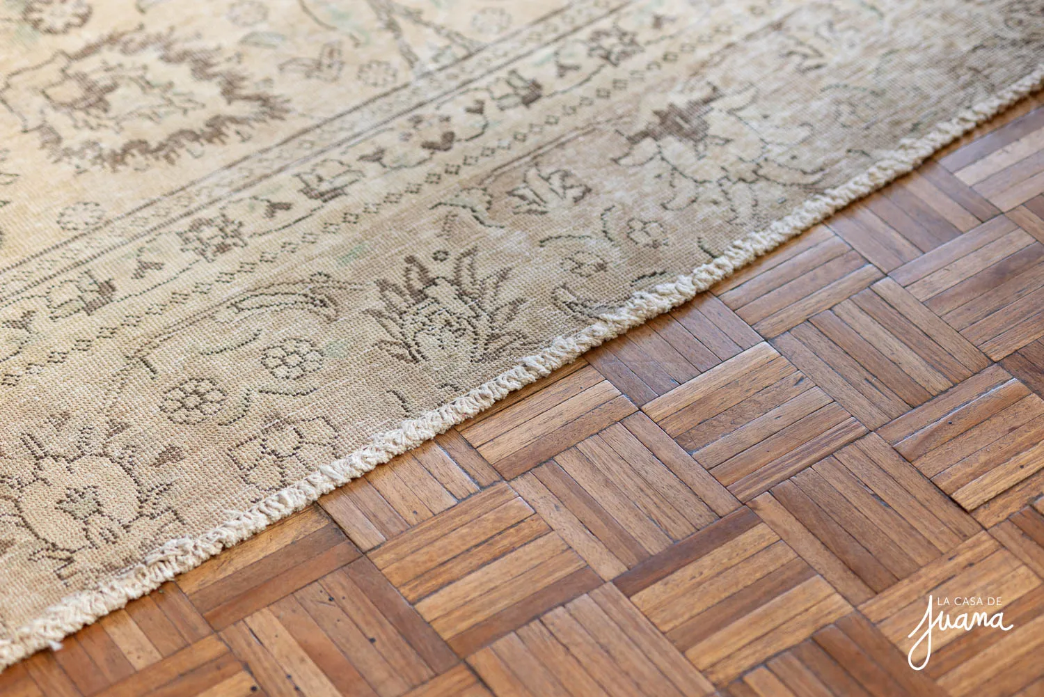 Casa_Walter_Scott_image_6