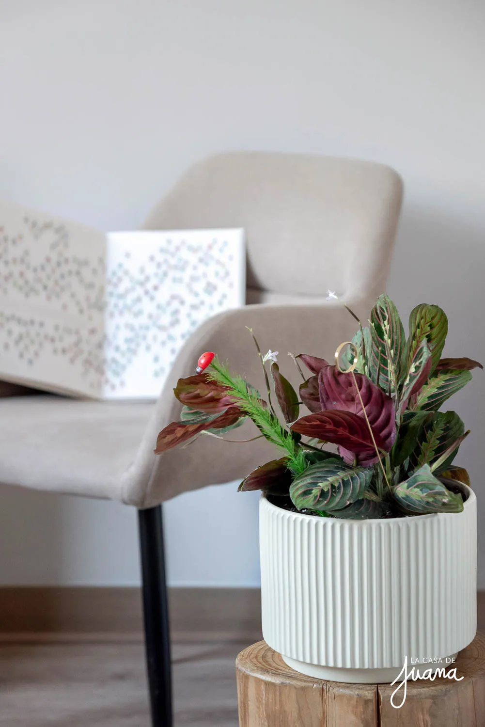 Piso_Arrieta_Cañas_image_26