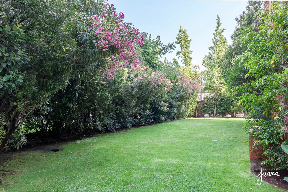 Piso_Martín_de_Zamora_image_36