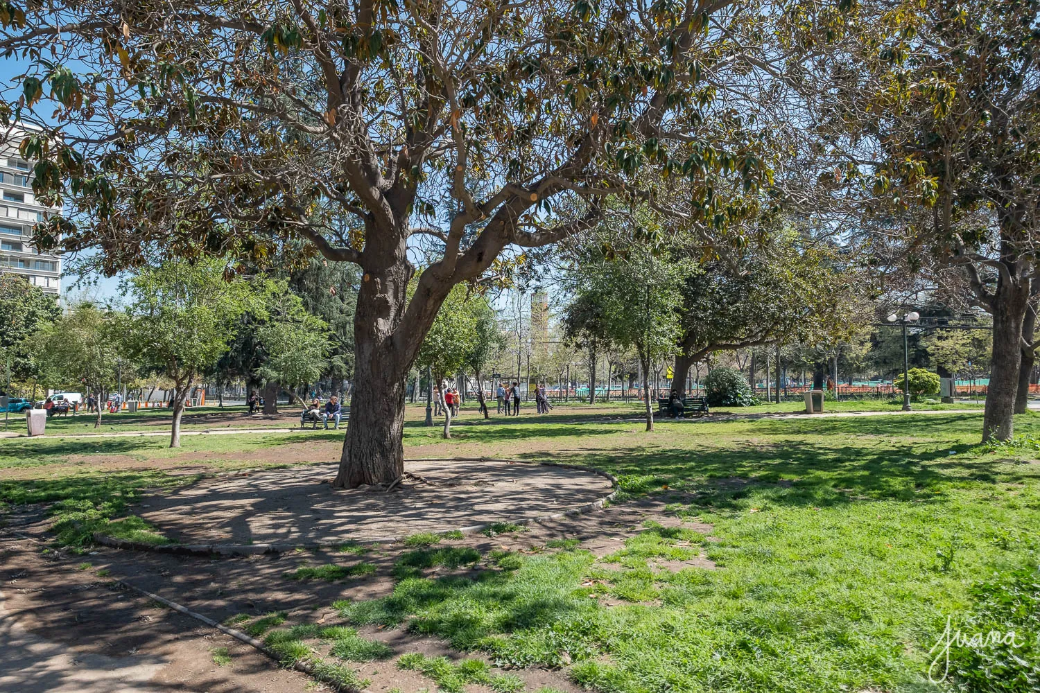 Piso_República_de_Cuba_image_26