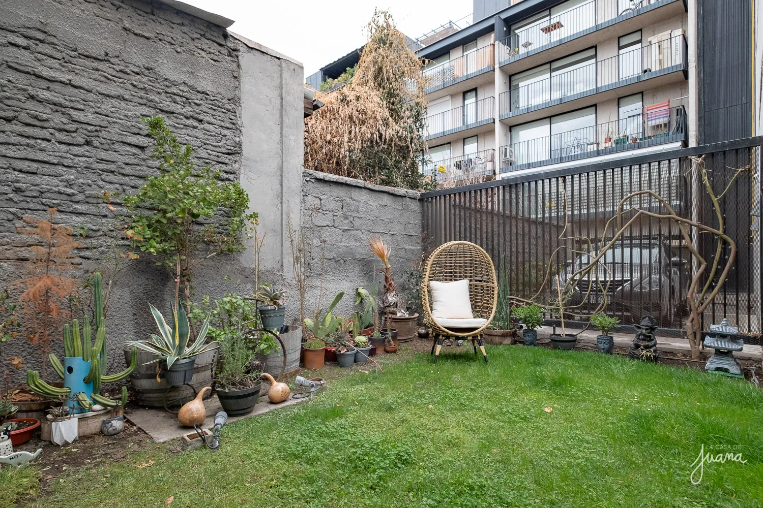 Patio_Lautaro_Ferrer_image_18