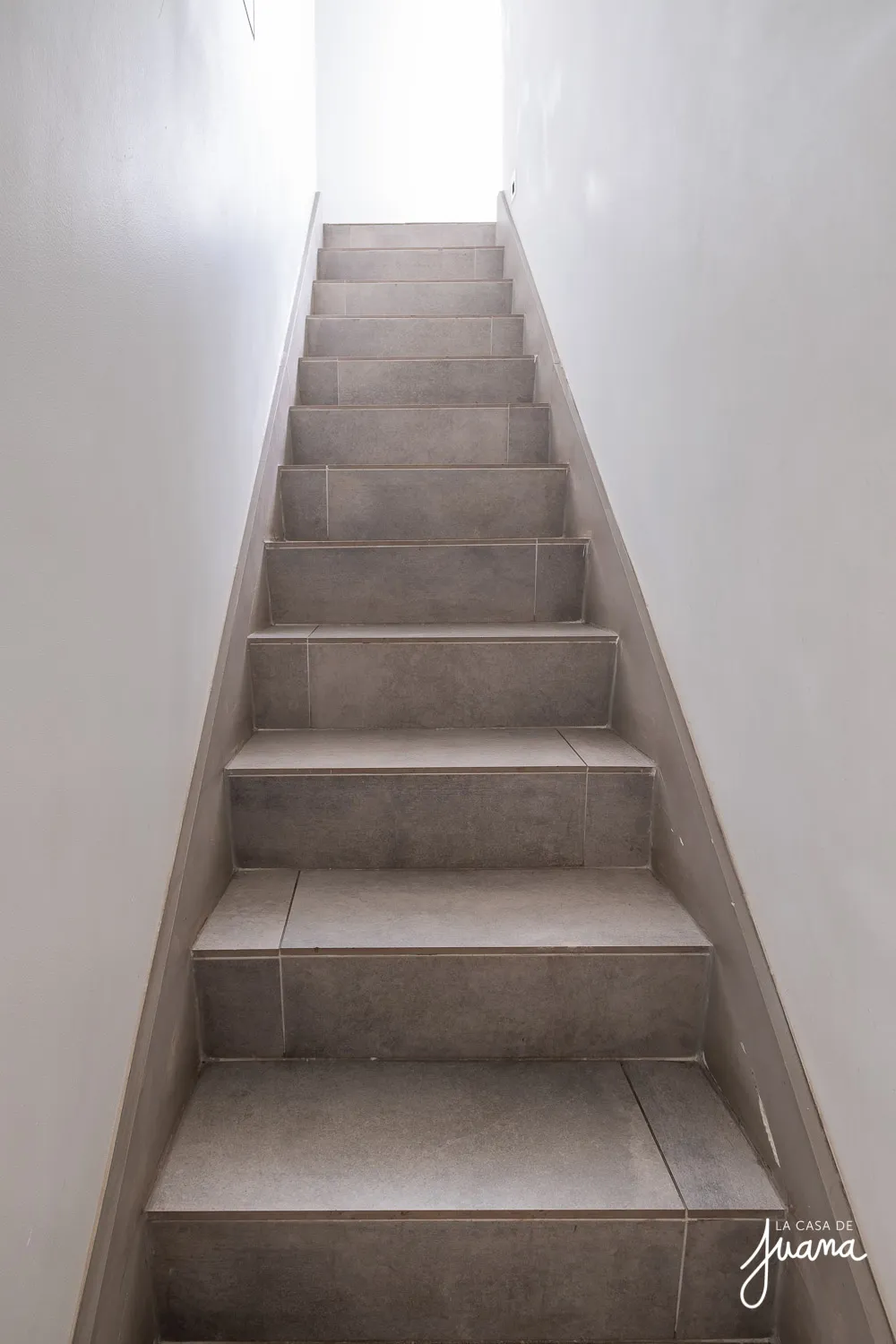 Patio_Lautaro_Ferrer_image_25