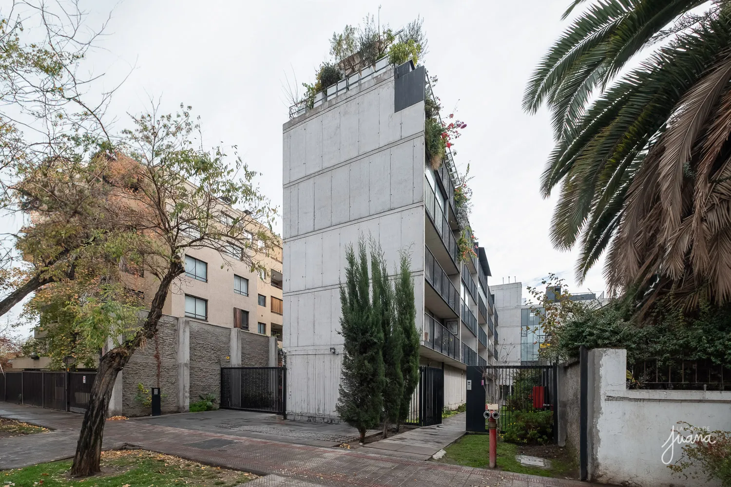 Patio_Lautaro_Ferrer_image_43