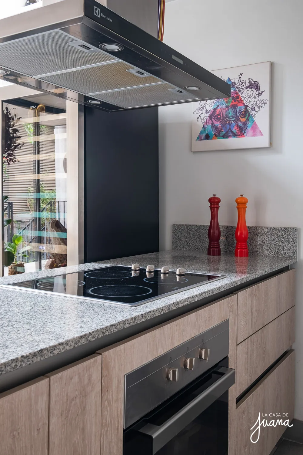 Patio_Lautaro_Ferrer_image_8