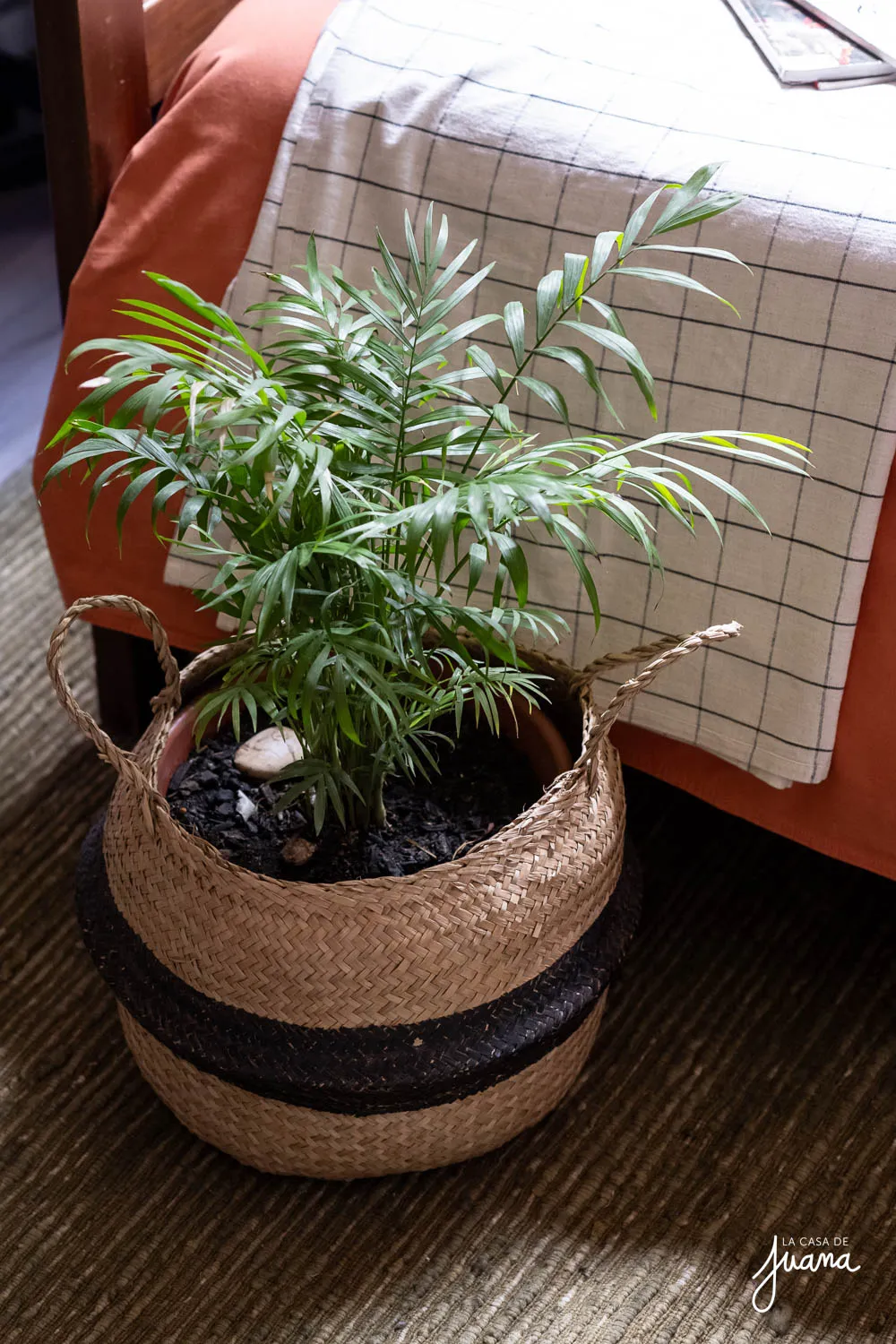 Piso_Farellones_Norte_image_39