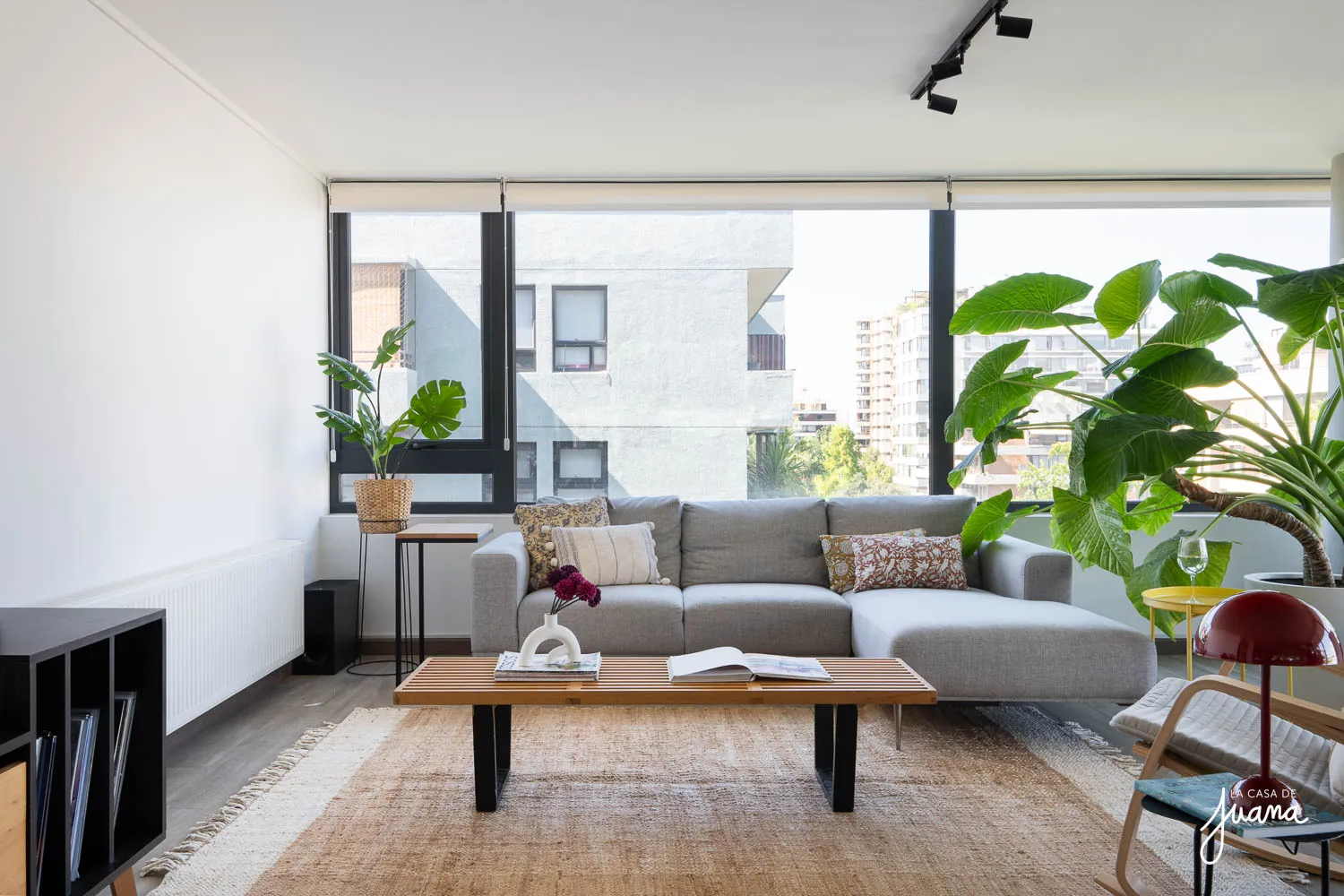 Piso_Llewellyn_Jones_I_image_6