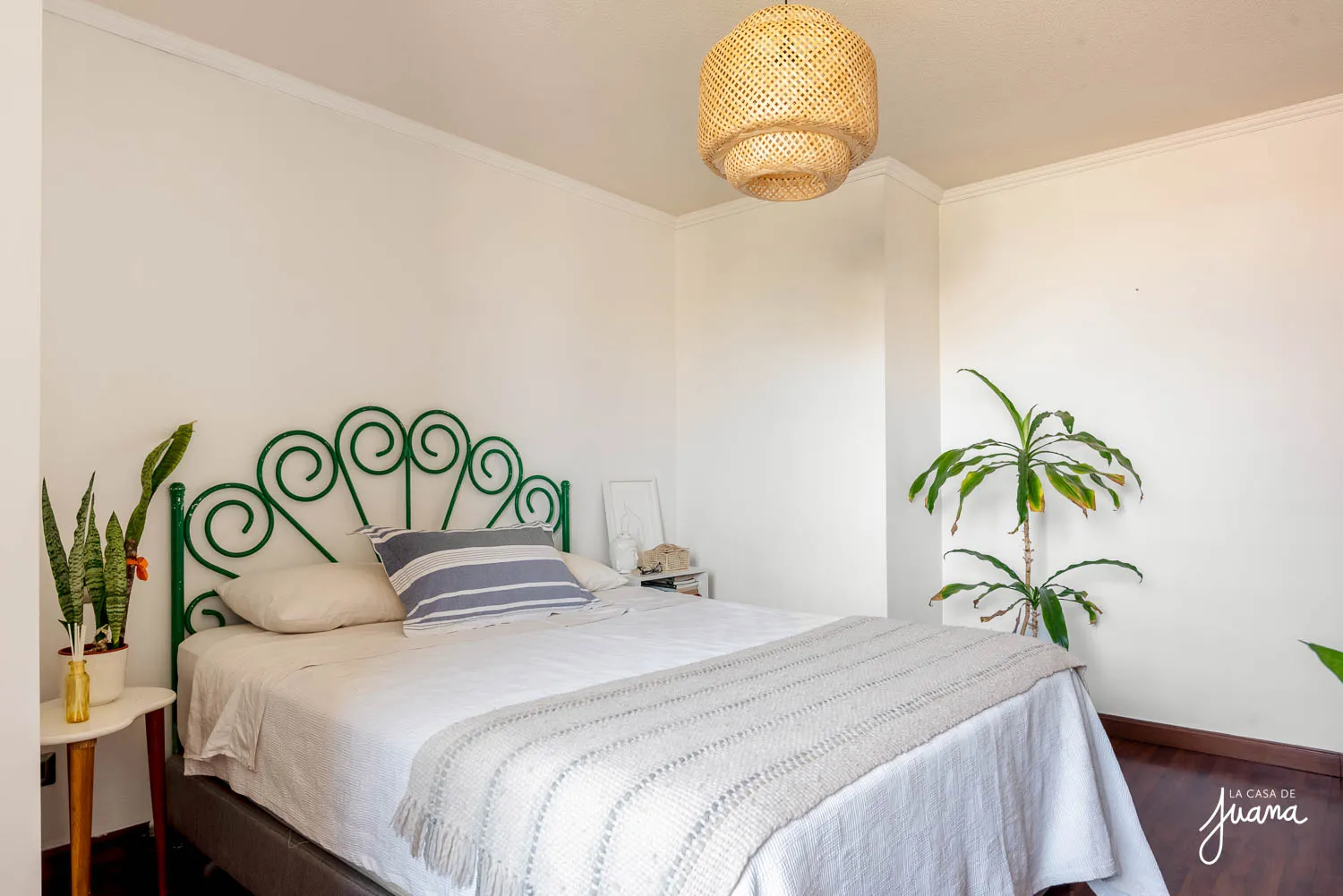 Piso_Llewellyn_Jones_II_image_12