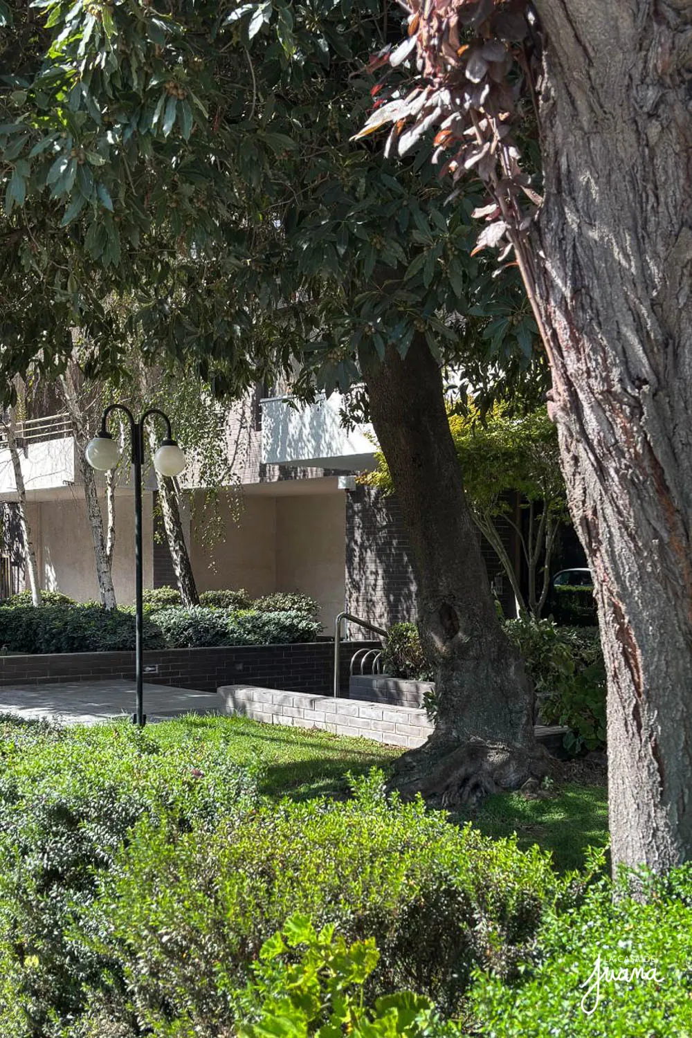 Piso_Llewellyn_Jones_II_image_18