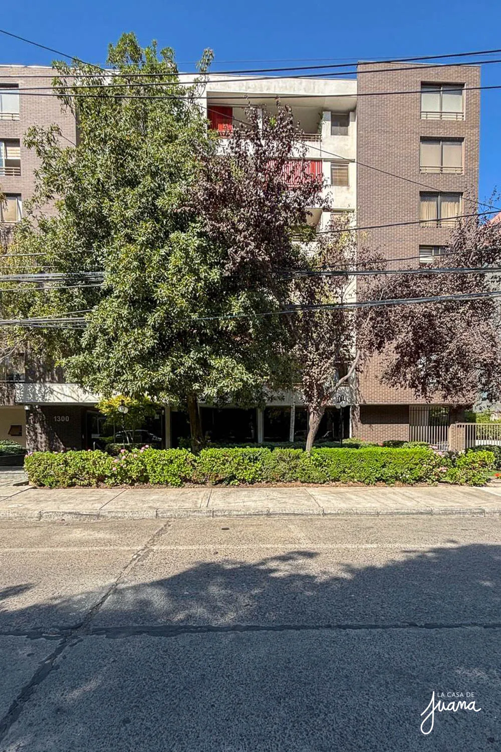 Piso_Llewellyn_Jones_II_image_19