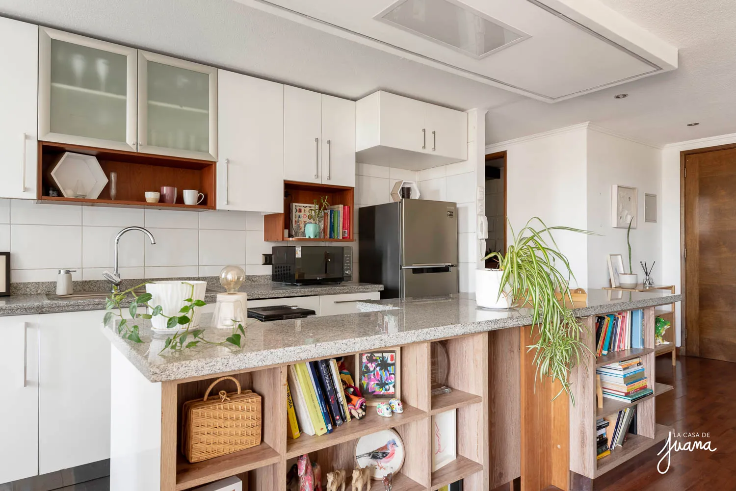 Piso_Llewellyn_Jones_II_image_7