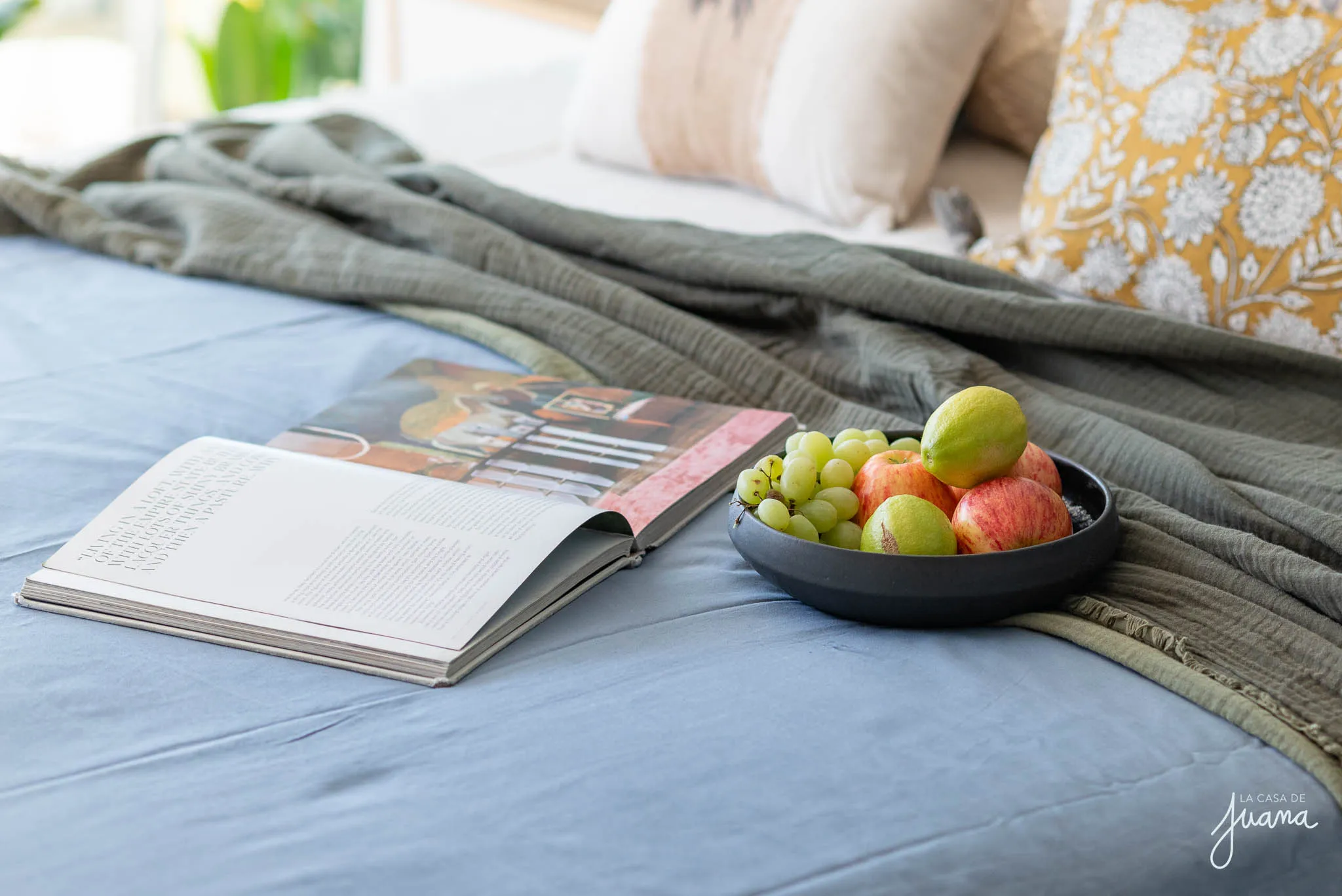 Piso_Pío_XI_image_21