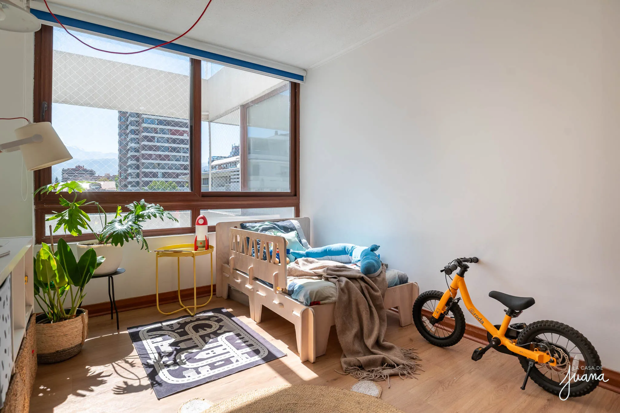 Piso_Pío_XI_image_25