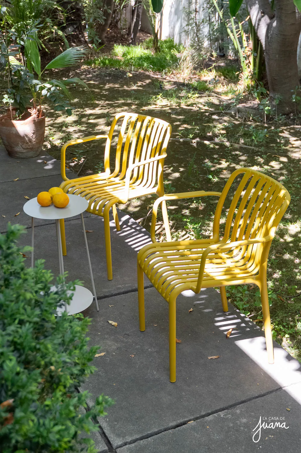 Casa_Carlos_Larraín_Claro_image_25