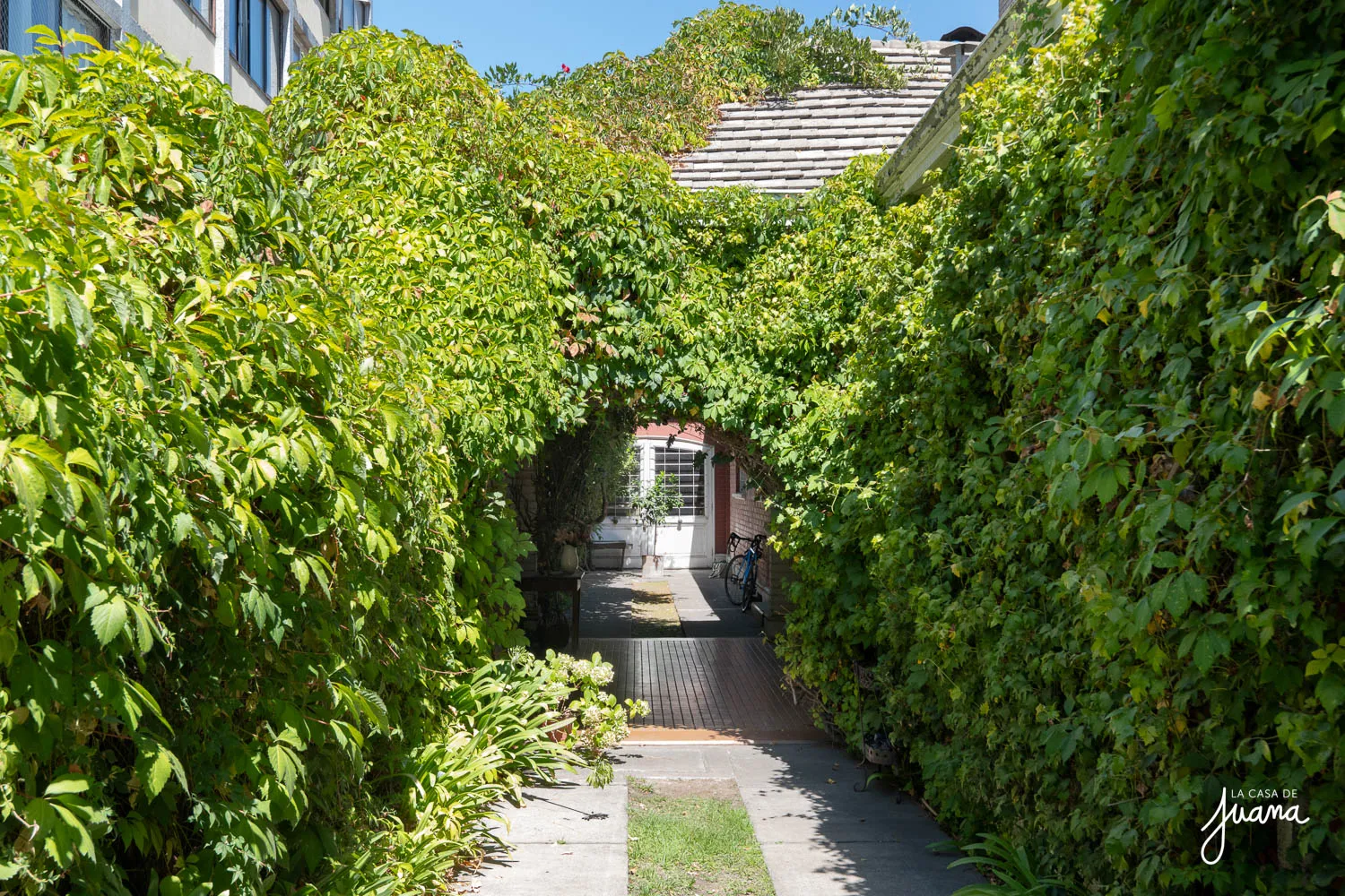 Casa_Carlos_Larraín_Claro_image_3