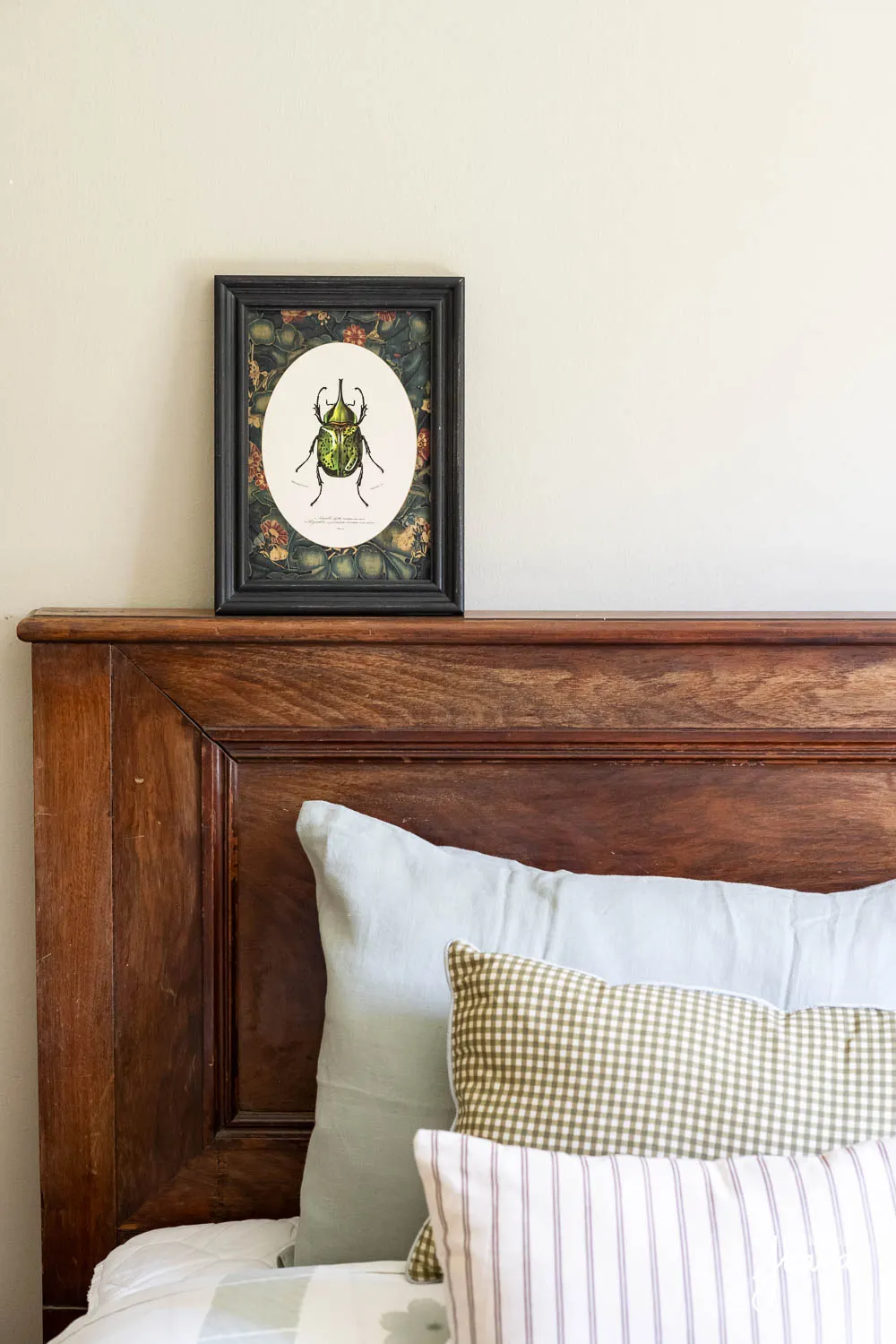 Casa_Carlos_Larraín_Claro_image_54