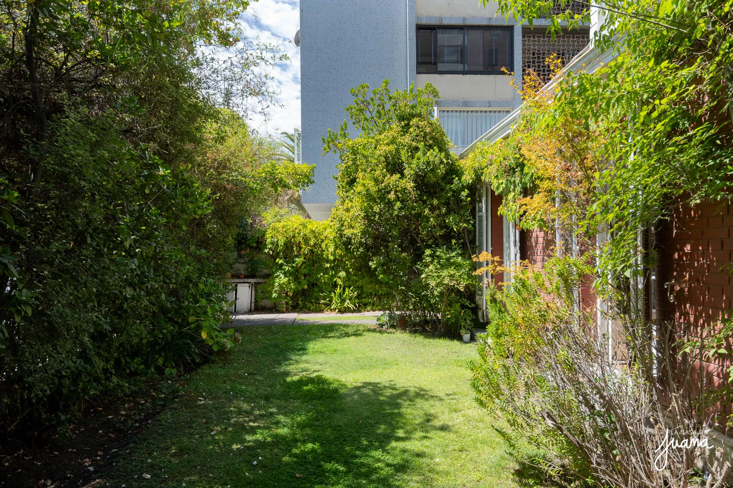 Casa_Carlos_Larraín_Claro_image_64