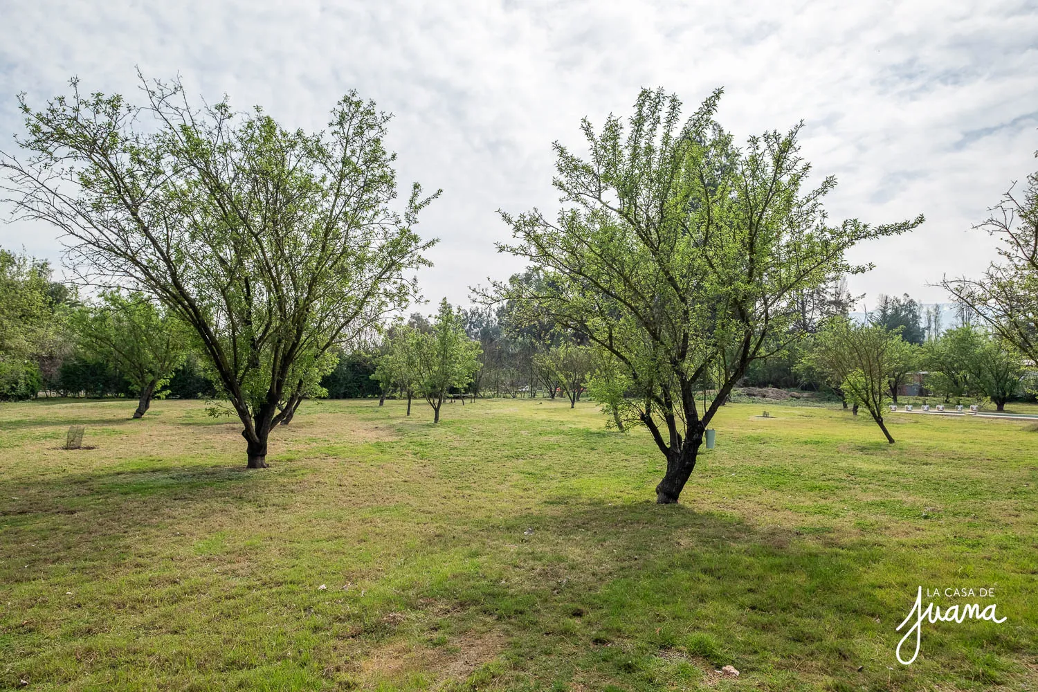 Casa_Los_Almendros_Chicureo_image_12