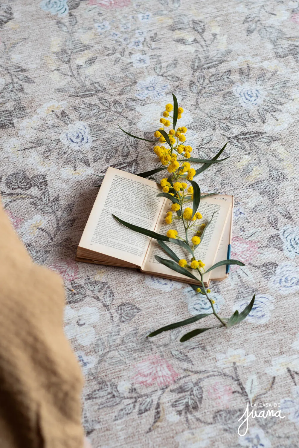 Casa_Los_Almendros_Chicureo_image_29