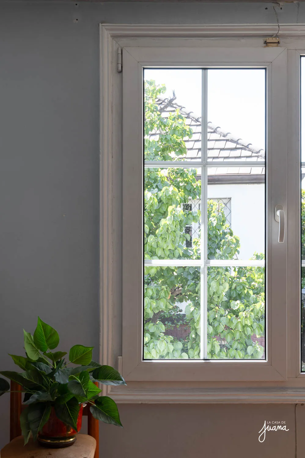 Casa_Pablo_El_Veronés_image_34