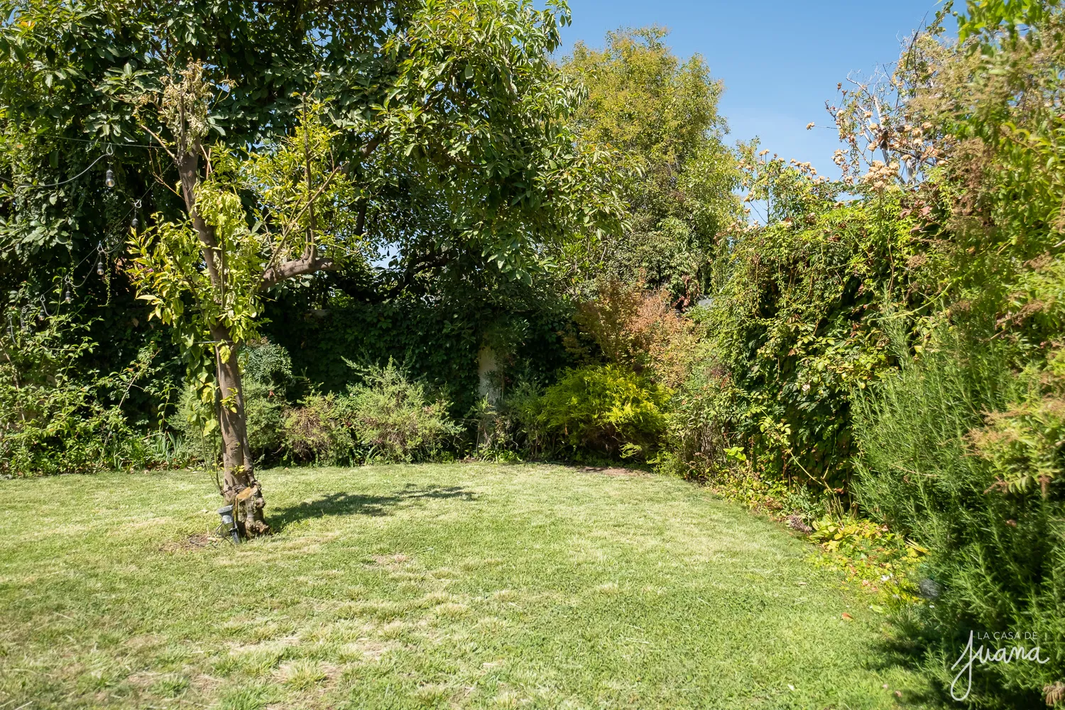 Casa_Parque_Botánico_image_24