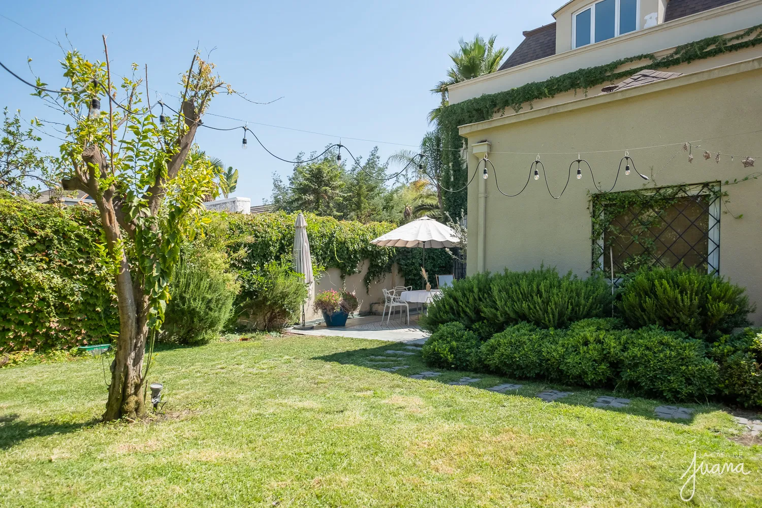 Casa_Parque_Botánico_image_28