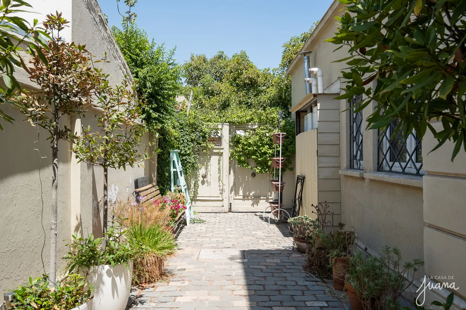 Casa_Parque_Botánico_image_64