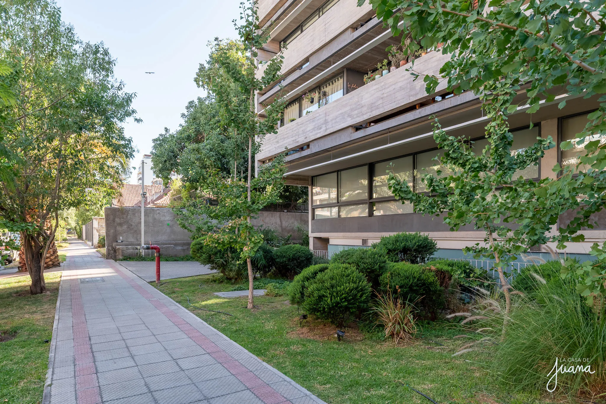 Patio_Roberto_del_Río_image_28